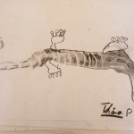 galerie_anna_222