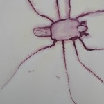 galerie_anna_239