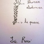 galerie_cabinet-scientifique_074