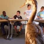 Sculpture et observation